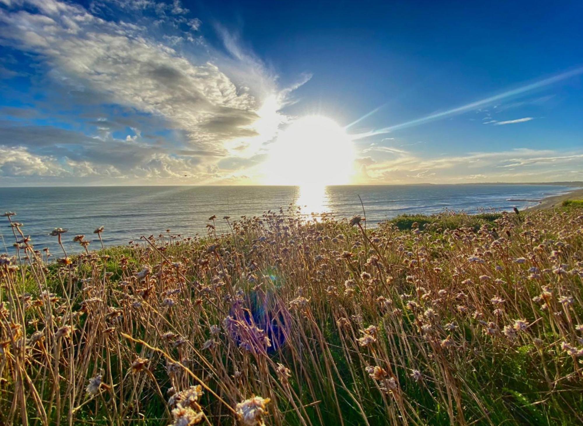 Seaside Escape In Central Bournemouth Spacious Stylish & Inviting Urban Heights Екстер'єр фото